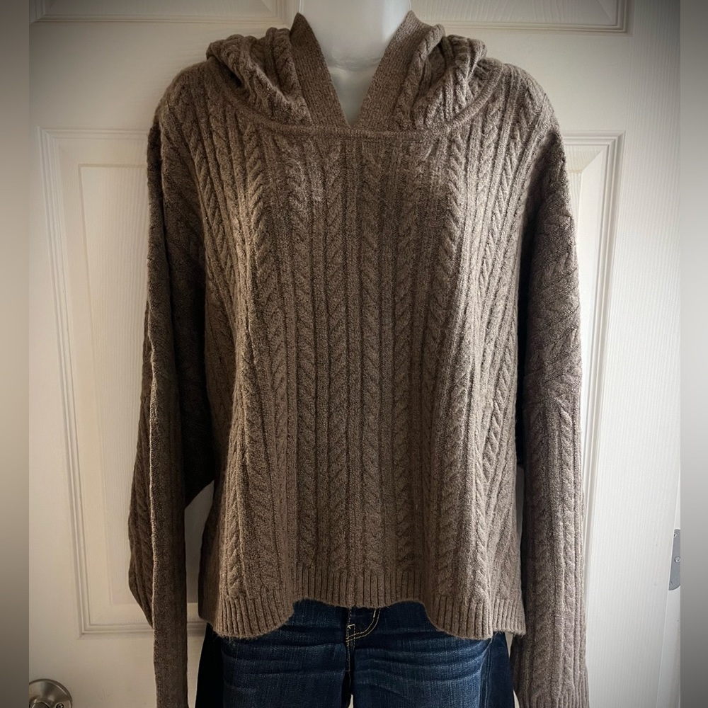 Express boxy hooded sweater